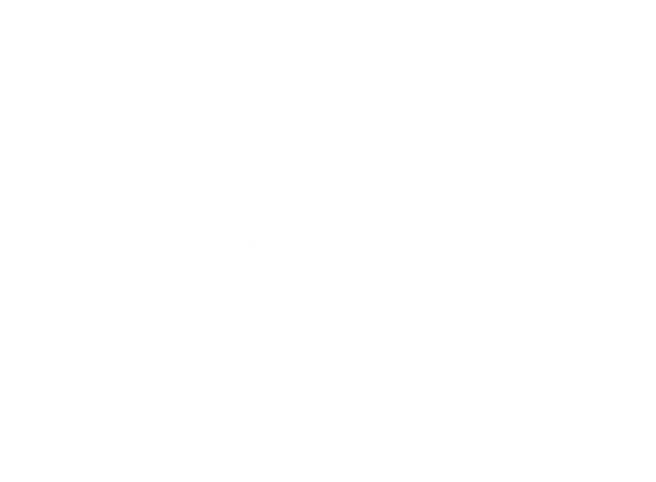 Vakiz